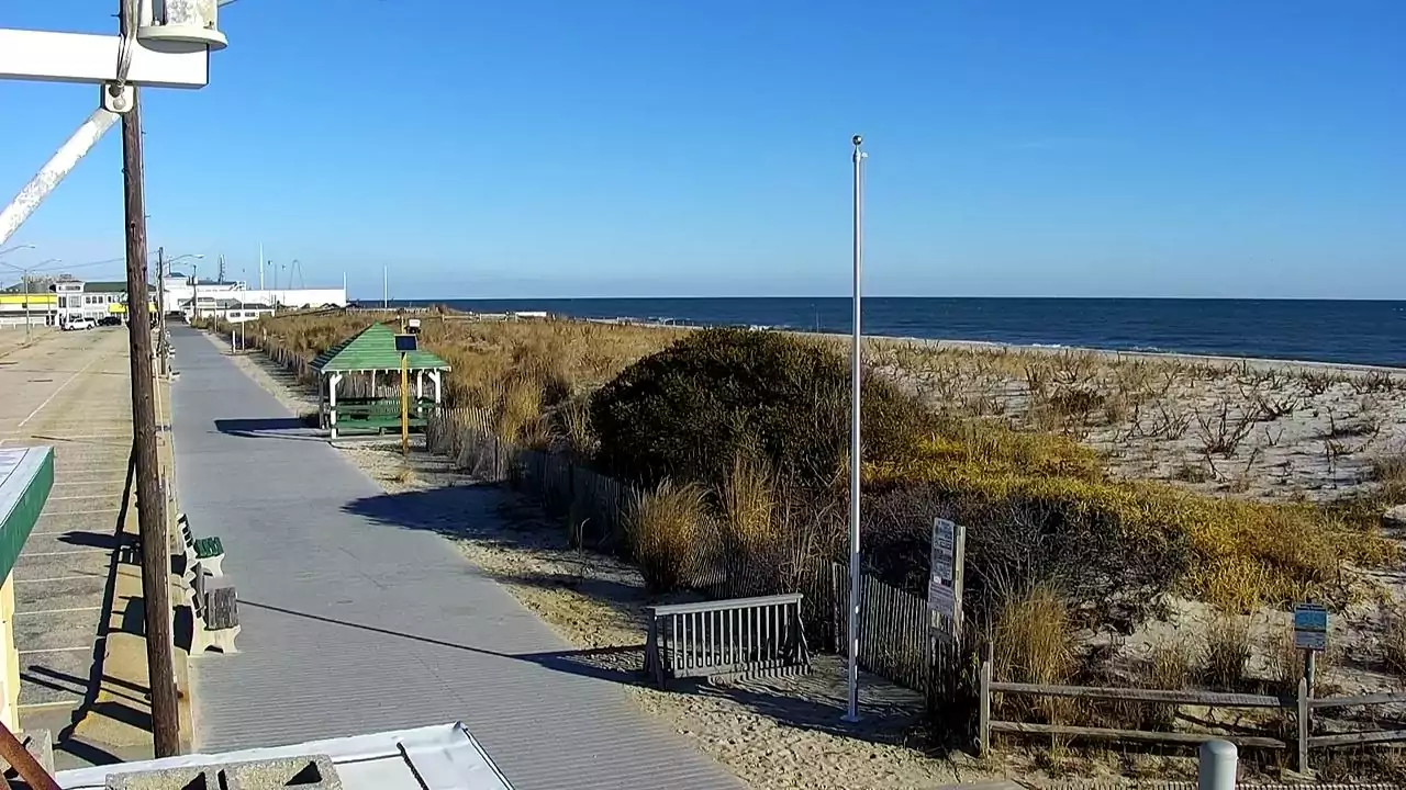 Seaside Park Live Cam